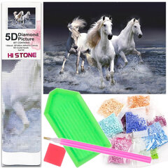 Diamond Mosaic 5D вышивательная живопись лошади белый галоп 1005262 цена и информация | Алмазная мозаика | pigu.lt