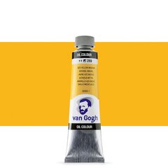 Масляная краска в тюбиках Van Gogh S1 269, 20 ml. цена и информация | Принадлежности для рисования, лепки | pigu.lt
