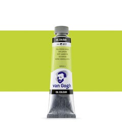 Aliejiniai dažai Van Gogh S1 617, 20 ml. kaina ir informacija | Piešimo, tapybos, lipdymo reikmenys | pigu.lt