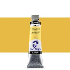 Масляная краска в тюбиках Van Gogh S2 208, 20 ml. цена и информация | Принадлежности для рисования, лепки | pigu.lt