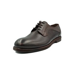 Туфли мужские Nicolo Ferretti 26202 цена и информация | Мужские ботинки | pigu.lt