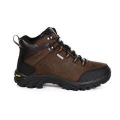 Мужские кожаные водонепроницаемые прогулочные ботинки Regatta Burrell - коричневые 5057538133064 цена и информация | Мужские ботинки | pigu.lt