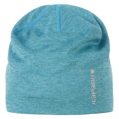 Icepeak детская шапка Haan 58835-3*335, синий 6438535427384 цена и информация | Шапки, перчатки, шарфы для мальчиков | pigu.lt