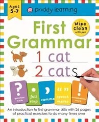 First Grammar: Wipe Clean Workbooks kaina ir informacija | Knygos mažiesiems | pigu.lt