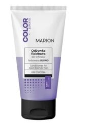 Geltonus atspalvius neutralizuojantis balzamas Marion Color Esperto Violet, 150 ml цена и информация | Бальзамы, кондиционеры | pigu.lt