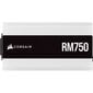 Corsair RM750 kaina ir informacija | Maitinimo šaltiniai (PSU) | pigu.lt