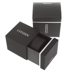 Мужские часы Citizen CA456081L цена и информация | Мужские часы | pigu.lt