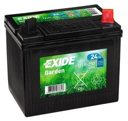 Аккумулятор для газонного трактора Exide Garden 12V 24Ah 197 x 132 x 186 + - цена и информация | Аккумуляторы | pigu.lt