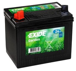 Аккумулятор для газонного трактора Exide Garden 12V 24Ah 197 x 132 x 186 + - цена и информация | Akumuliatoriai | pigu.lt