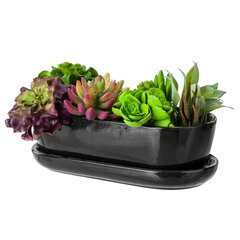 Цветочный горшок чаша для кактуса темно-серый с блюдцем Размеры овала 13 см х 27,5 см х 8 см цена и информация | Вазоны | pigu.lt