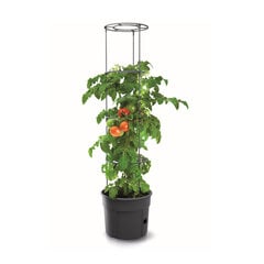 Pomidorų vazonas 150 cm kaina ir informacija | Vazonėliai daiginimui ir persodinimui | pigu.lt