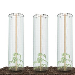 3x Горшечное выращивание томатов укрыть зонтом пленкой цена и информация | Вазоны для рассады и пересадки | pigu.lt