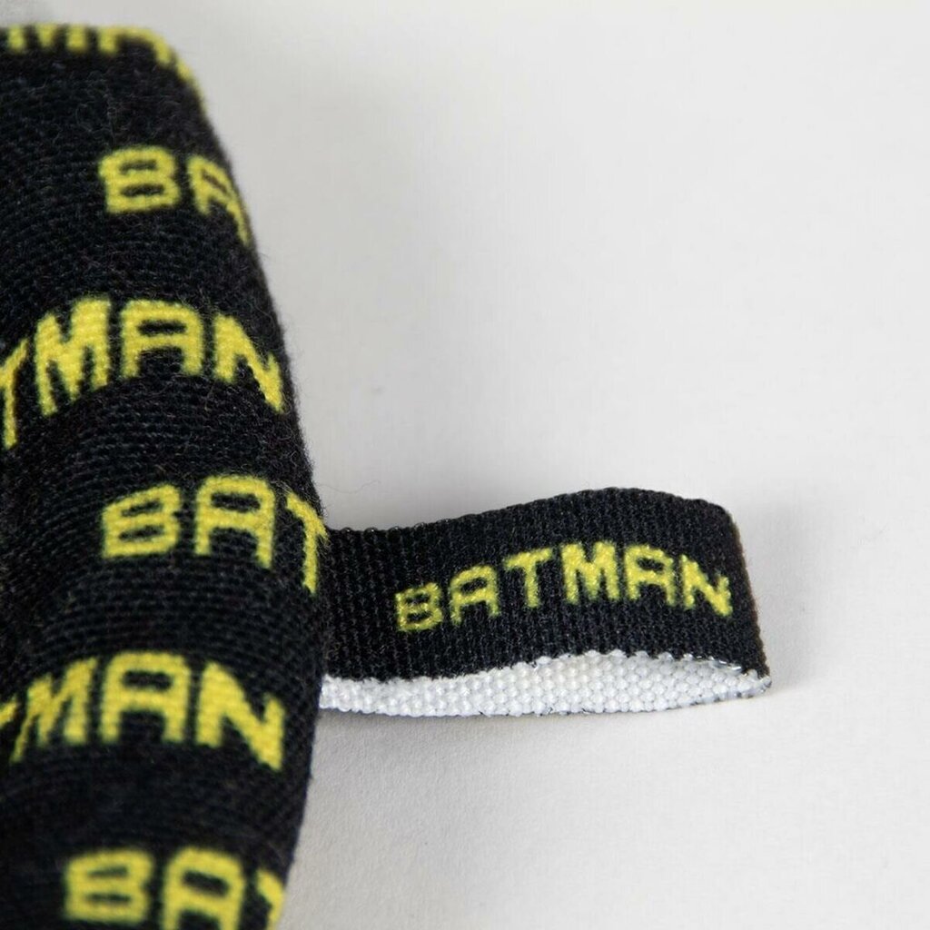 Šuns žaislas virvė Batman su garsu kaina ir informacija | Žaislai šunims | pigu.lt