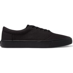 Laisvalaikio batai vyrams Toms Canvas Lace Up Sneaker 204704 kaina ir informacija | Kedai vyrams | pigu.lt