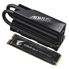 Gigabyte Aorus Gen5 10000 2TB M.2 NVMe kaina ir informacija | Vidiniai kietieji diskai (HDD, SSD, Hybrid) | pigu.lt