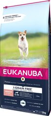 Eukanuba Senior mažų ir vidutinių veislių šunims su žuvimi, 12 kg цена и информация |  Сухой корм для собак | pigu.lt