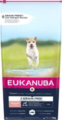 Eukanuba Senior mažų ir vidutinių veislių šunims su žuvimi, 12 kg kaina ir informacija | Sausas maistas šunims | pigu.lt