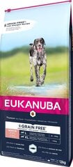 Eukanuba Senior didelių veislių šunims su žuvimi, 12 kg kaina ir informacija | Sausas maistas šunims | pigu.lt