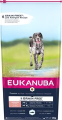 Сухой корм для собак - Eukanuba Senior Large Grain Free океаническая рыба, 12 кг цена и информация | Сухой корм для собак | pigu.lt