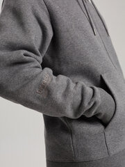 толстовка мужская дкр дсрт ж13 б1567 - серый меланж цена и информация | Diverse Одежда, обувь и аксессуары | pigu.lt