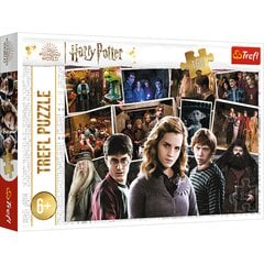 Dėlionė Trefl Harry Potter, 160 det. kaina ir informacija | Dėlionės (puzzle) | pigu.lt