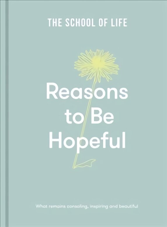 Reasons to be Hopeful: what remains consoling, inspiring and beautiful kaina ir informacija | Saviugdos knygos | pigu.lt