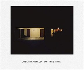 Joel Sternfeld: On this Site цена и информация | Книги по фотографии | pigu.lt