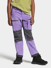 Didriksons vaikiškos pavasario-rudens kelnės KOTTEN, violetinės kaina ir informacija | Kelnės berniukams | pigu.lt