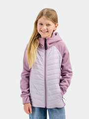 Утепленный свитер Didriksons для девочки TOVIK, лавандовый цвет цена и информация | Свитеры, жилетки, пиджаки для девочек | pigu.lt