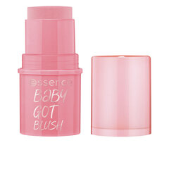 Skaistalai Essence Baby Got Blush, 10 оттенков Tickle Me Pink, 5,5 г цена и информация | Бронзеры (бронзаторы), румяна | pigu.lt