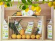 Friendly organic indų plovimo priemonė su citrinų aliejumi, 500 ml цена и информация | Indų plovimo priemonės | pigu.lt