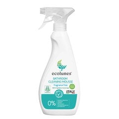 Ecolunes vonios kambario valymo putos, 500 ml kaina ir informacija | Valikliai | pigu.lt