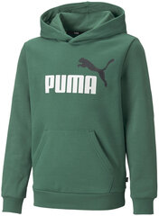 Джемпер Puma Ess + 2 Col Big Logo 586987 37/176, зеленый цена и информация | Свитеры, жилетки, пиджаки для мальчиков | pigu.lt