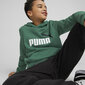 Džemperis berniukams Puma 586987 37/176 цена и информация | Megztiniai, bluzonai, švarkai berniukams | pigu.lt