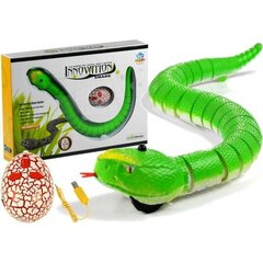 Radijo bangomis valdoma gyvatė, žalia kaina ir informacija | Žaislai berniukams | pigu.lt