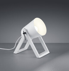 Настольная лампа Trio Reality Marc цена и информация | Настольные светильники | pigu.lt