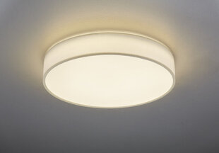 Потолочный светильник Trio Lugano цена и информация | Потолочные светильники | pigu.lt