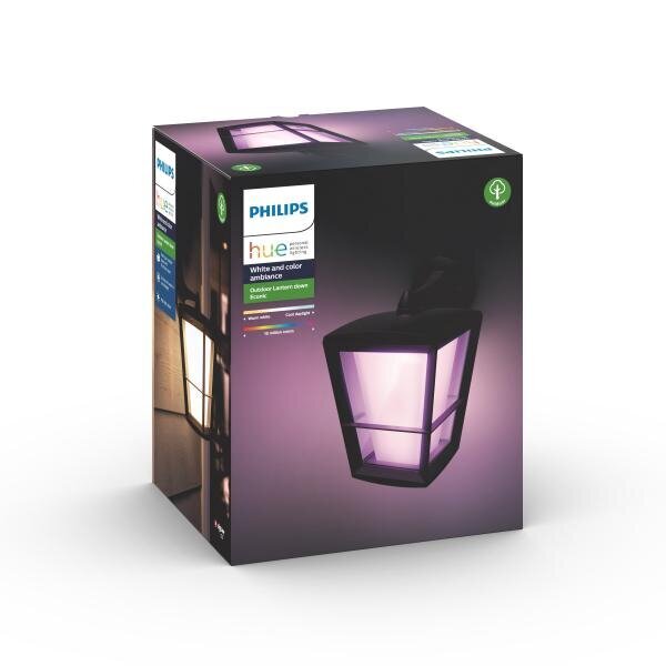 Lauko šviestuvas Philips hue econic, 1 vnt. цена и информация | Lauko šviestuvai | pigu.lt