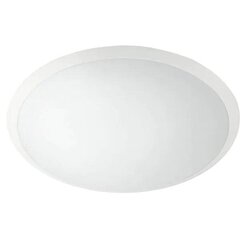 Регулируемая белая лампа WAWEL LED WHT36W  цена и информация | Потолочные светильники | pigu.lt