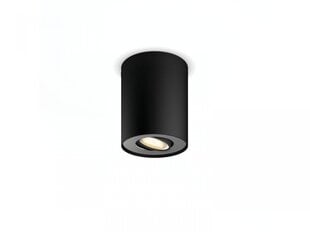 Philips lubinis šviestuvas Pillar Hue kaina ir informacija | Lubiniai šviestuvai | pigu.lt