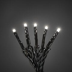 Лампы Slinga, 100 светодиодов цена и информация | Уличные светильники | pigu.lt