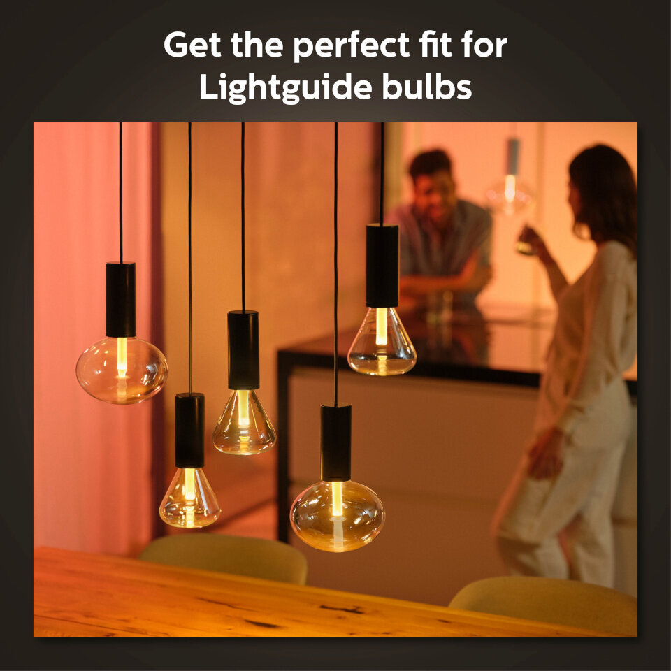 Philips šviestuvo laidas Lightguide Cord kaina ir informacija | Pakabinami šviestuvai | pigu.lt