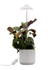 Airam Iris цена и информация | Проращиватели, лампы для растений | pigu.lt
