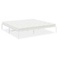 vidaXL Metalinis lovos rėmas, baltos spalvos, 200x200 cm kaina ir informacija | Lovos | pigu.lt