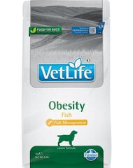 Farmina VetLife Obesity Fish корм для всех пород собак с рыбой, 2 кг цена и информация |  Сухой корм для собак | pigu.lt