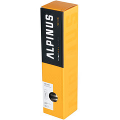 Alpinus termosas, 0.7 L цена и информация | Термосы, термокружки | pigu.lt