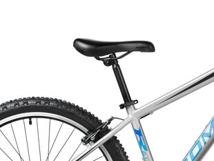 Велосипед Romet Rambler R6.1 26" 2023, серый цвет цена и информация | Велосипеды | pigu.lt