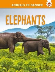 Elephants цена и информация | Книги для подростков и молодежи | pigu.lt