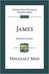 James: Tyndale New Testament Commentary kaina ir informacija | Dvasinės knygos | pigu.lt