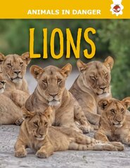 Lions цена и информация | Книги для подростков  | pigu.lt